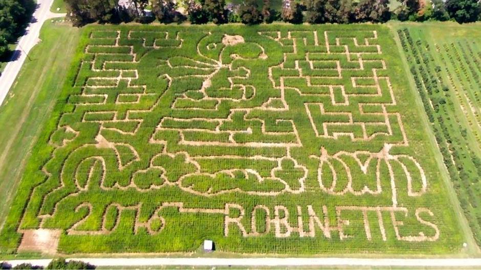 Robinette's Corn Maze