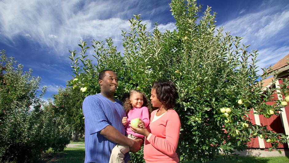 Make sure to plan a family outing to a local apple orchard and/or cidery this fall season.