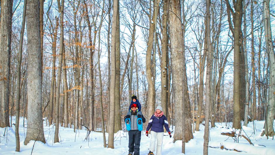 Great Grand Rapids Places For Date Night Dining Tap Rooms Parks