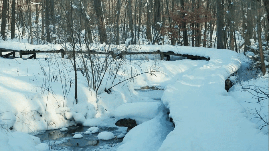 Snowshoeing is a beloved West Michigan winter pastime.