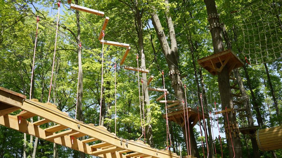 Safely Experience Grand Rapids With Family Open Attractions