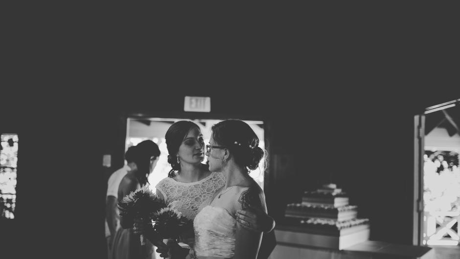 Brides celebrate at Fallasburg Park.