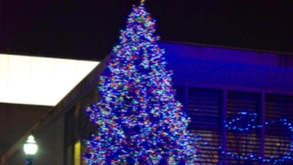 Christmas Tree at Rosa Parks downtown holiday lights
