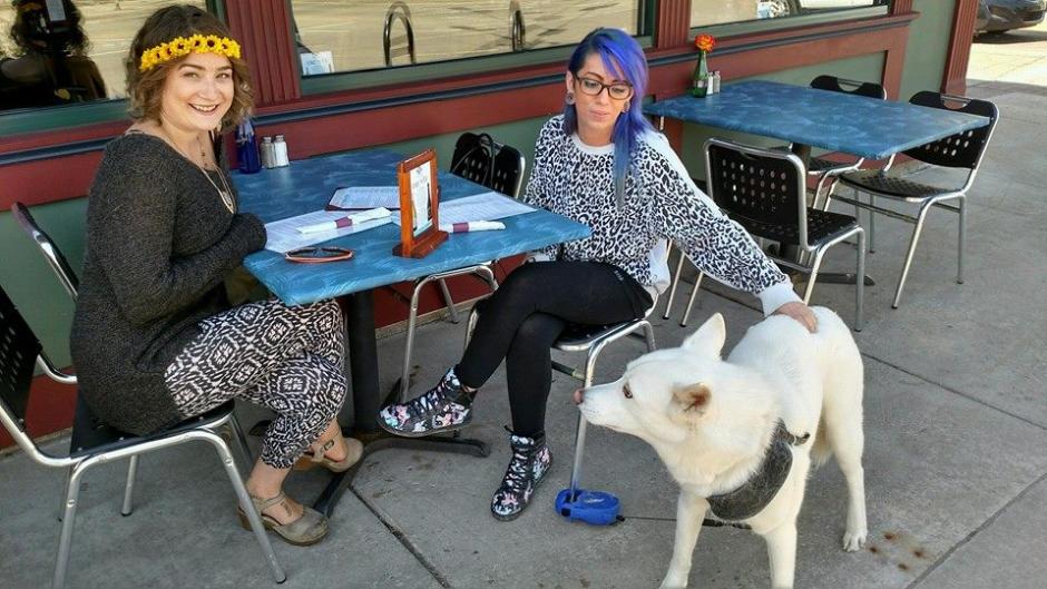 Diners and their Pets