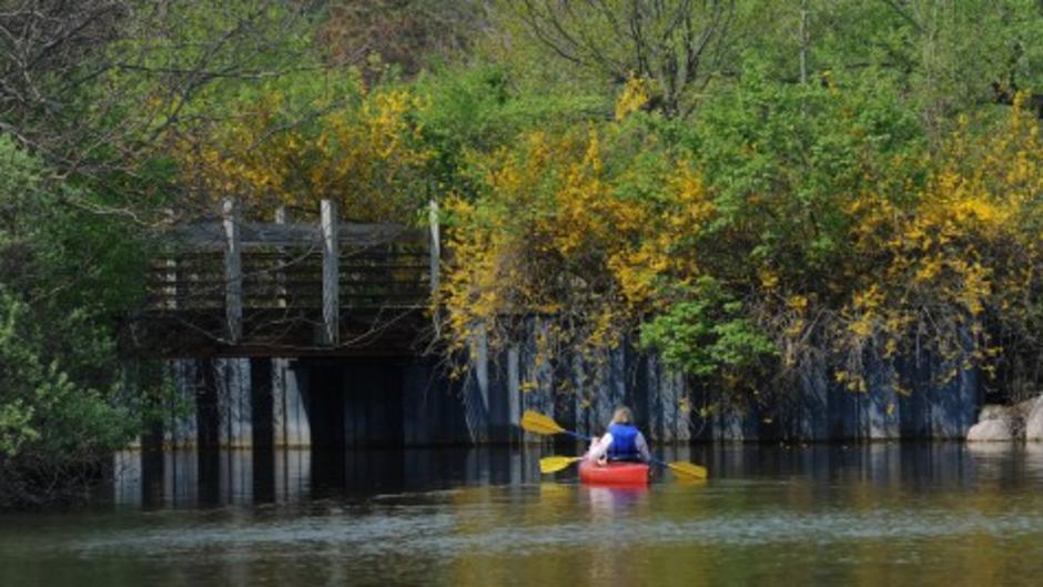 Kayaking in Ann Arbor
