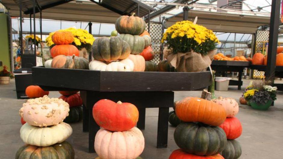 Koetsier's Greenhouse