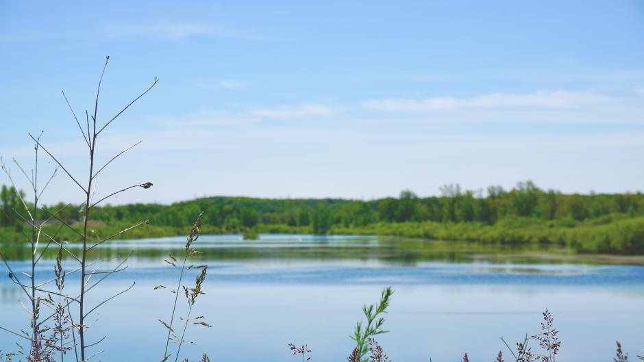 Open Space Park