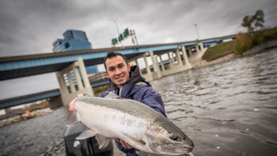 Expect to find migratory fish like salmon and steelhead (pictured) in the Grand River during the spring and fall.