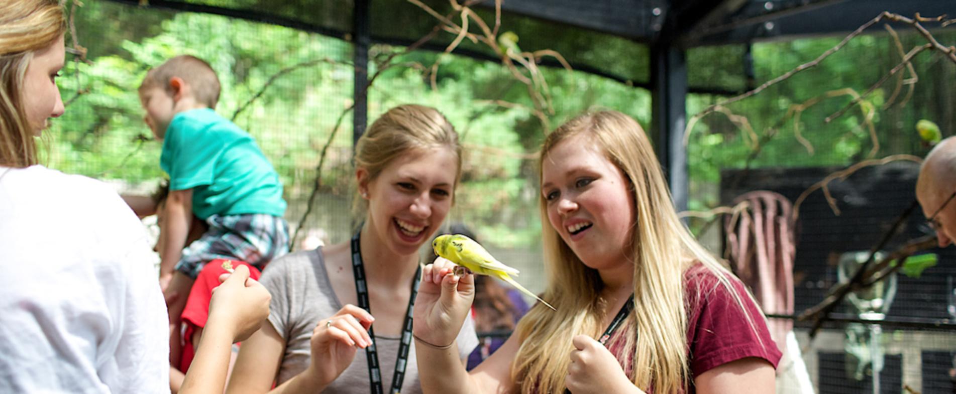 Get up close with the animals at John Ball Zoo in West Side neighborhood then have your meeting among the trees at the Bissel Tree House.
