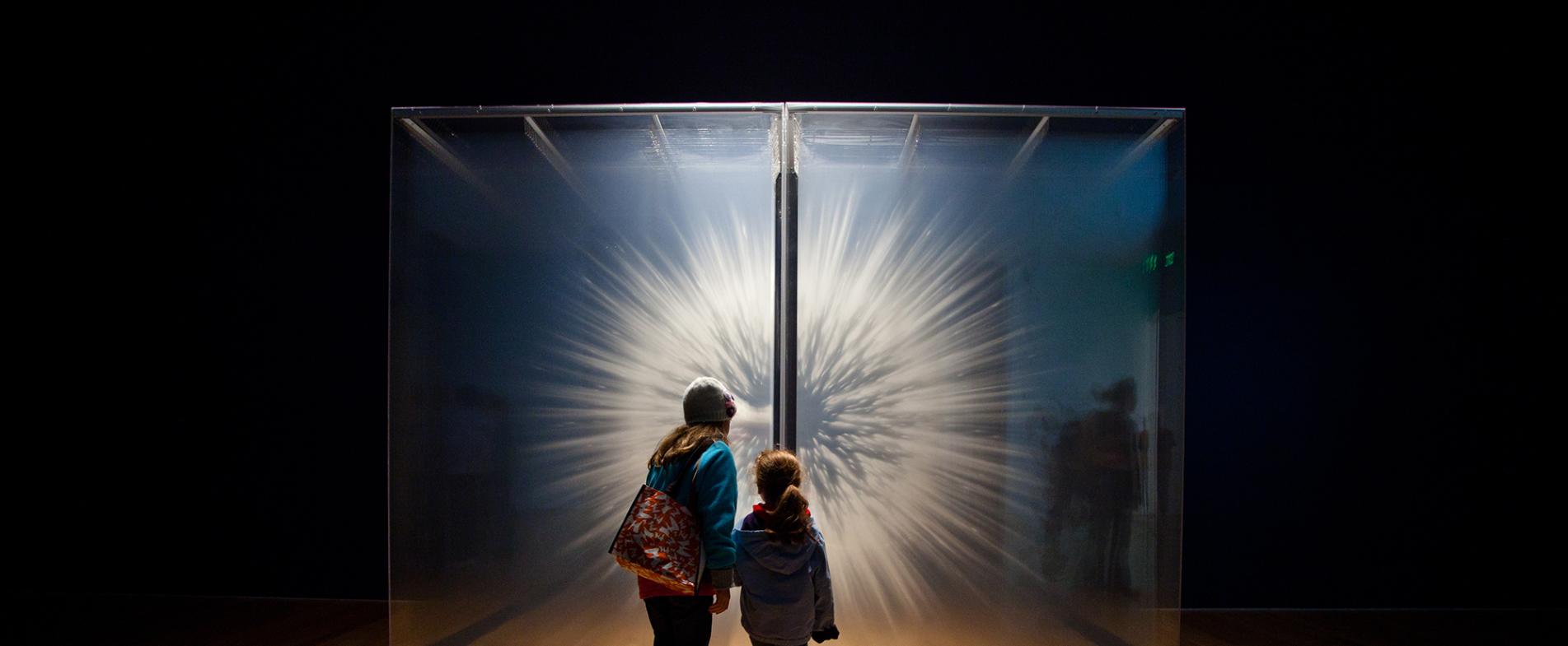 ArtPrize: Vision