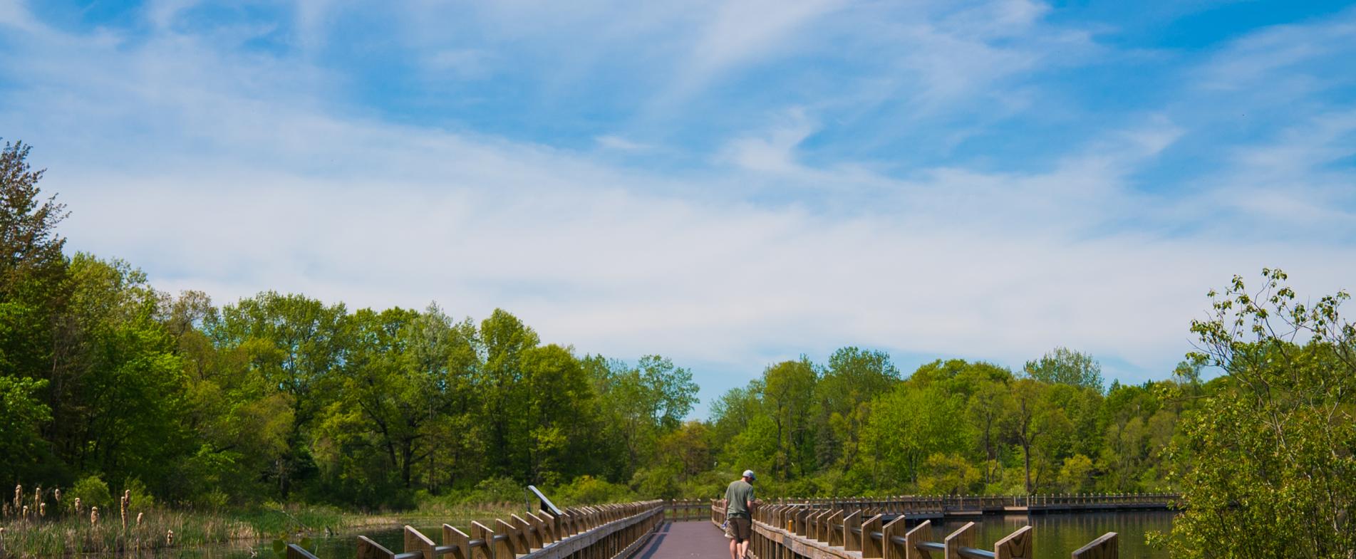 Pickerel Lake Park is located in Rockford, just north of Grand Rapids.