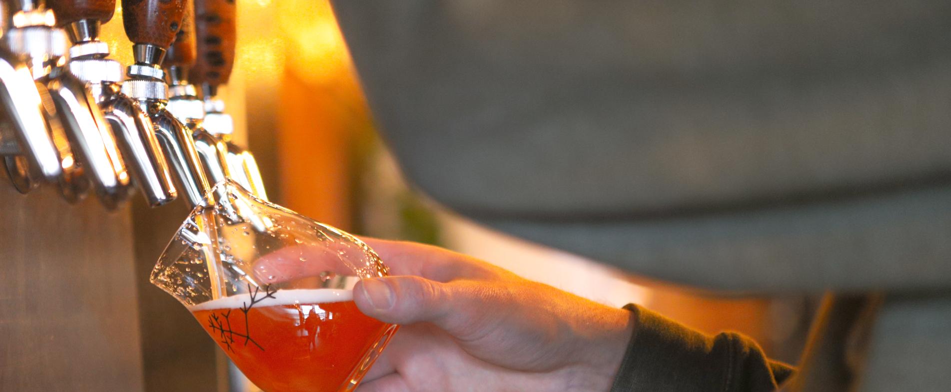 Speciation Artisan Ales' taproom draft list is ranked in order of level of intensity, or acidity.