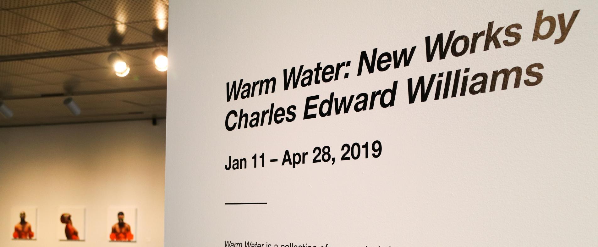 Visit the Urban Institute of Contemporary Art to see its first new exhibit of 2019, "Warm Water: New Works by Charles Edward Williams."
