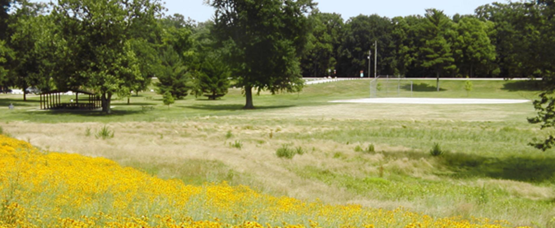 Right next to Millennium Park lies Johnson Park, which connects bikers to nearby towns such as Grandville.