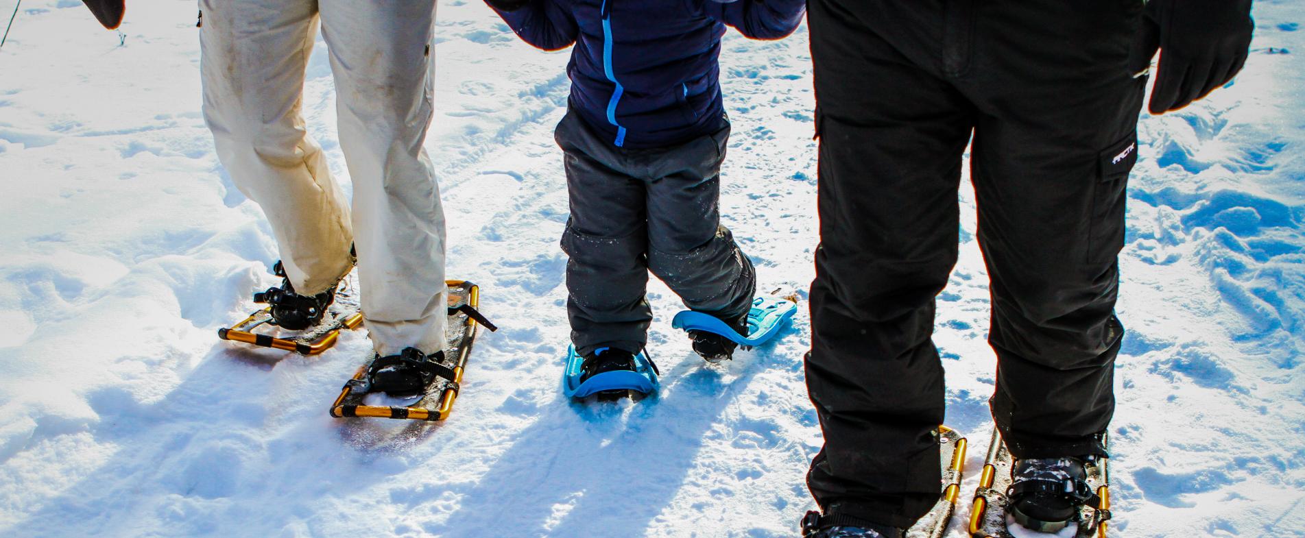 Snowshoes