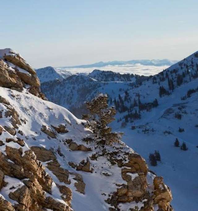 Little Cottonwood Canyon Ski City Neighborhoods Little Cottonwood Restaurants
