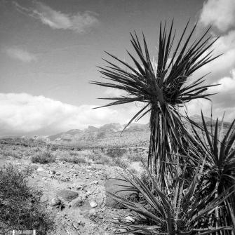 75th Scenic Nevada Fun in the Sun