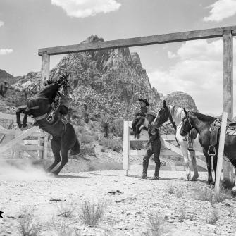 75th scenic Nevada Bar None Ranch