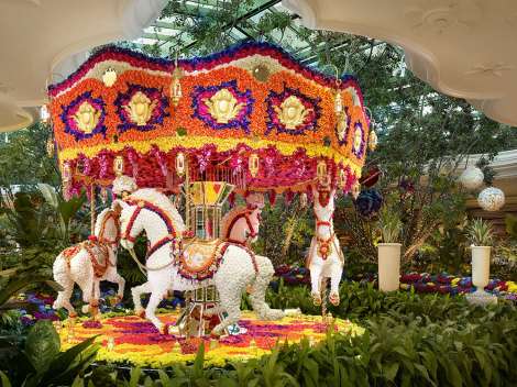 Fine Arts Museums In Las Vegas