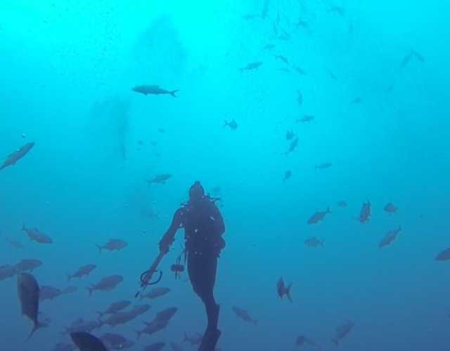 Diving Charters Things To Do In Panama City Beach Featured Dive In To Panama City Beach