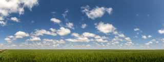 Wheat field on the Land & Sky Scenic Byway