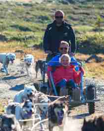 Dog sledding