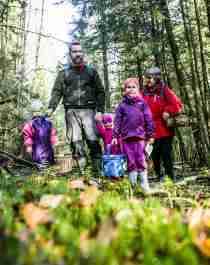 En familie er ute og plukker sopp i skogen i Moss på Østlandet