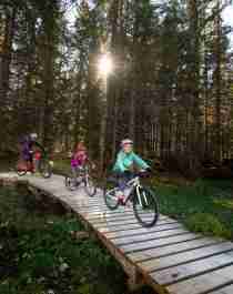 A family of four is biking through the woods in Trysil bike arena in Trysil, Eastern Norway