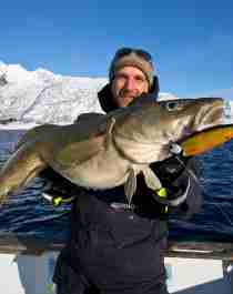 En man håller en nyfångad torsk i Lofoten i Nord-Norge