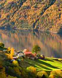 Belle expérience sur les rives de l’Aurlandsfjord à l'automne – paysage de fjord aux nuances automnales