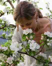 A woman smelling apple blossoms in Hardanger, Norway in the spring