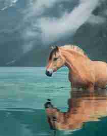 Ein Fjordpferd sthet im türkisen Wasser umgeben von Bergen in Fjord Norwegen