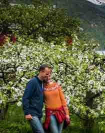 A couple walking in an orchard with blossoming fruit trees in Hardanger, Fjord Norway