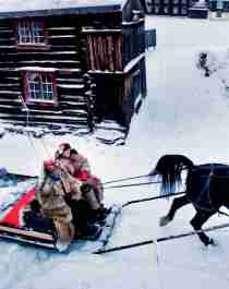 Horse and sleigh in Røros, Trøndelag, Norway