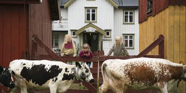 Farm Stays In Norway Stay At A Farm Farm Holiday