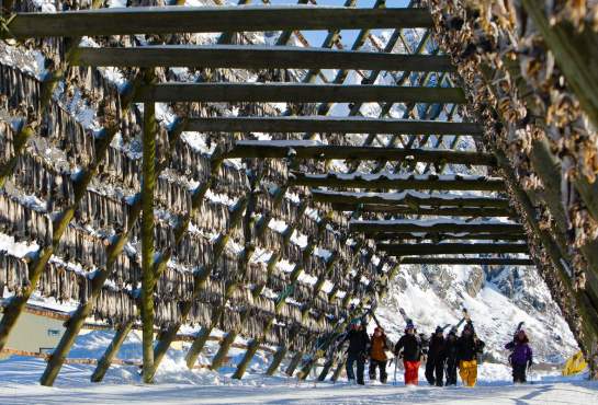 The Lofoten Islands Norway Mountain Peaks Arctic Fjords