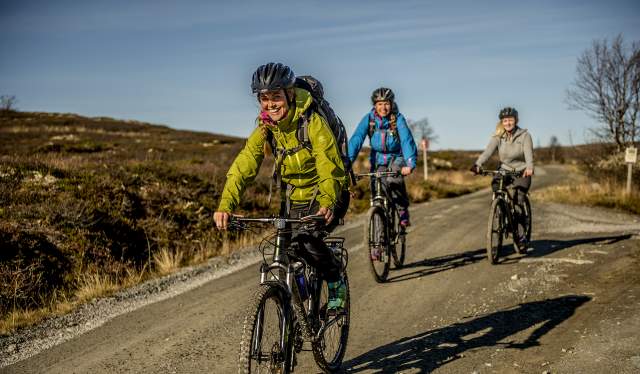 Three people cycling at a dirt road on the Hardangervidda mountain plateau in Norway
