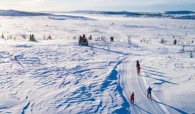 Langrennsløpere i fjellene i Valdres på Østlandet