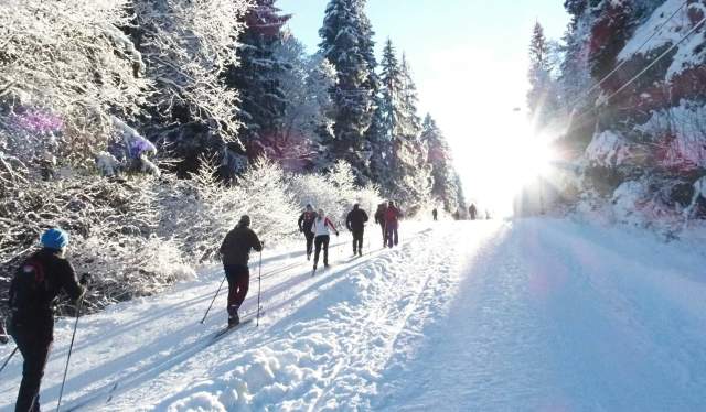Cross-country skiers in Nordmarka in Oslo, Eastern Norway