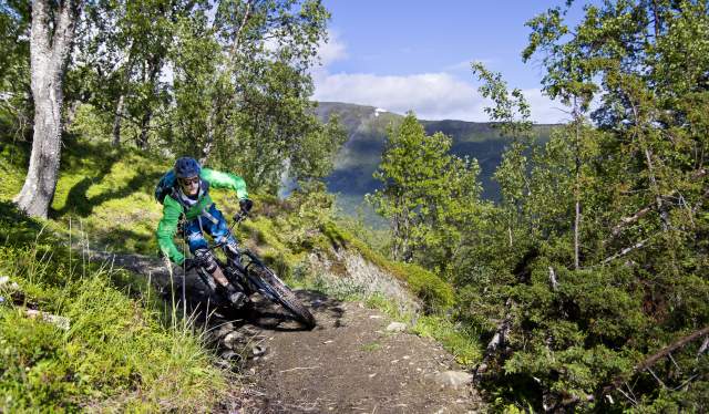 A man mountain biking in the Lyngenfjord region in Northern Norway, in the mountains