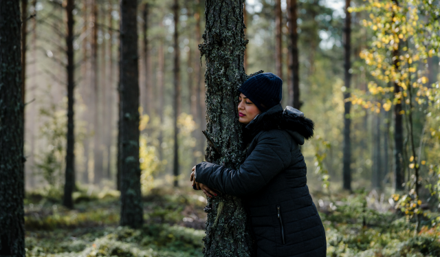 A woman hugging a tree in the Finnskogen forest, Eastern Norway