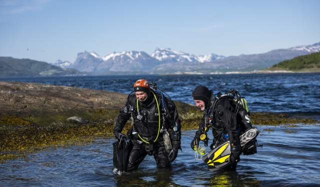Two people diving in Saltstraumen maelstrom in Northern Norway