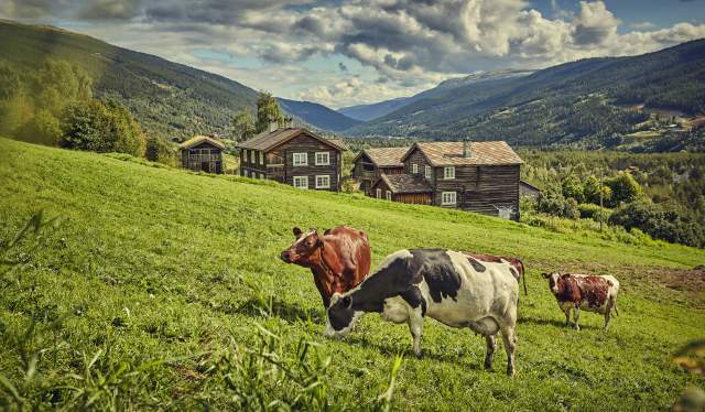 The mountain farm Heidal Ysteri in the Gudbrandsdalen Valley of Eastern Norway