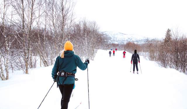 Cross-country skiing in Geilo, Eastern Norway