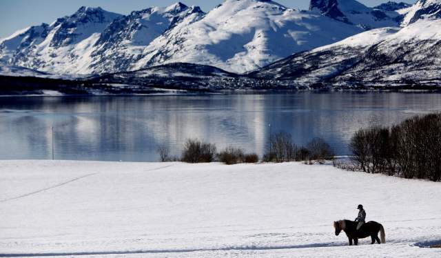 Horseback riding in winter landscape outside of Tromsø, Northern Norway