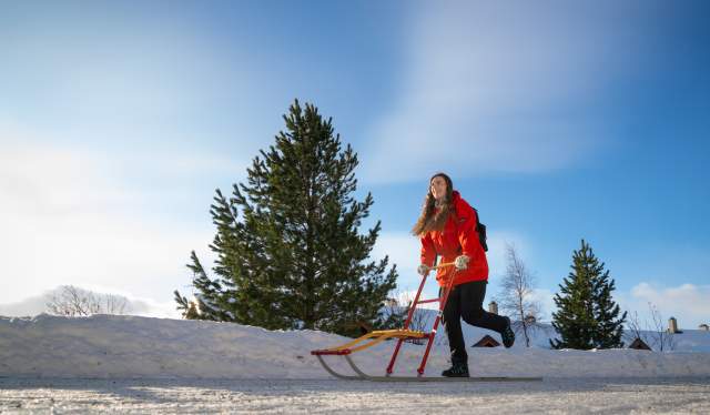 A woman on a kicksled in Geilo, Eastern Norway, Norway.