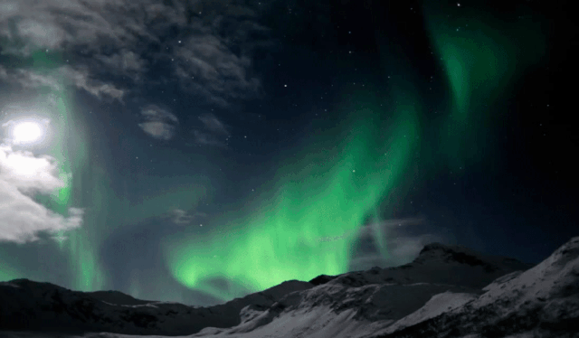 Green Northern Lights are dancing across the night sky above snow-covered mountains in Northern Norway