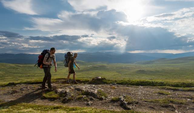Two men wearing backpacks hiking the Gudbrandsdalen path, the pilgrim trail St. Olav Ways to Trondheim, across Dovrefjell in Eastern Norway