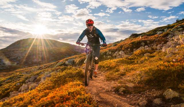 A man biking in the mountains of Trysil on a sunny autumn day
