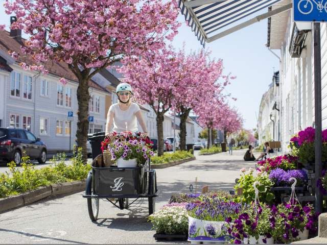 A woman cycling through Posebyen in Kristiansand on a transport bike full of flowers. Southern Norway.